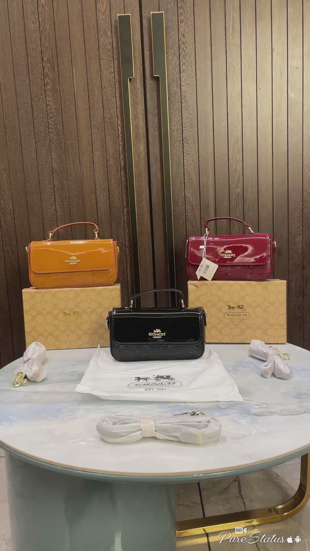 Coach Hailey Flap Signature Bag